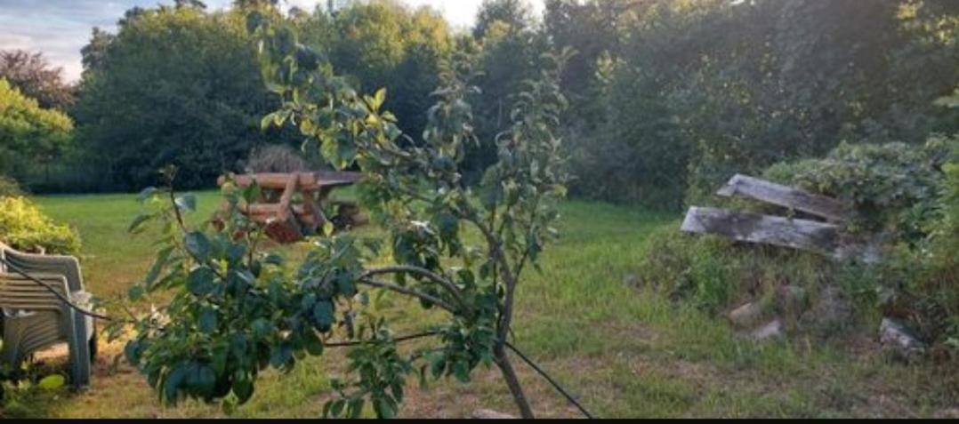 - Wohnmobilstellplatz In Der Mecklenburgischen Seenplatte Strom & Wasser Vor Ort Campsite Carpin