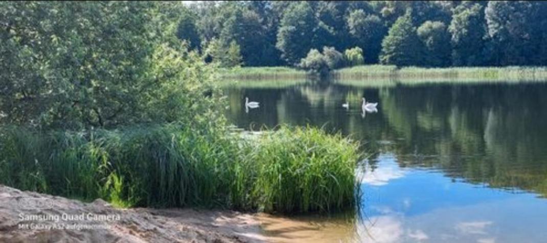 - Wohnmobilstellplatz In Der Mecklenburgischen Seenplatte Strom & Wasser Vor Ort
