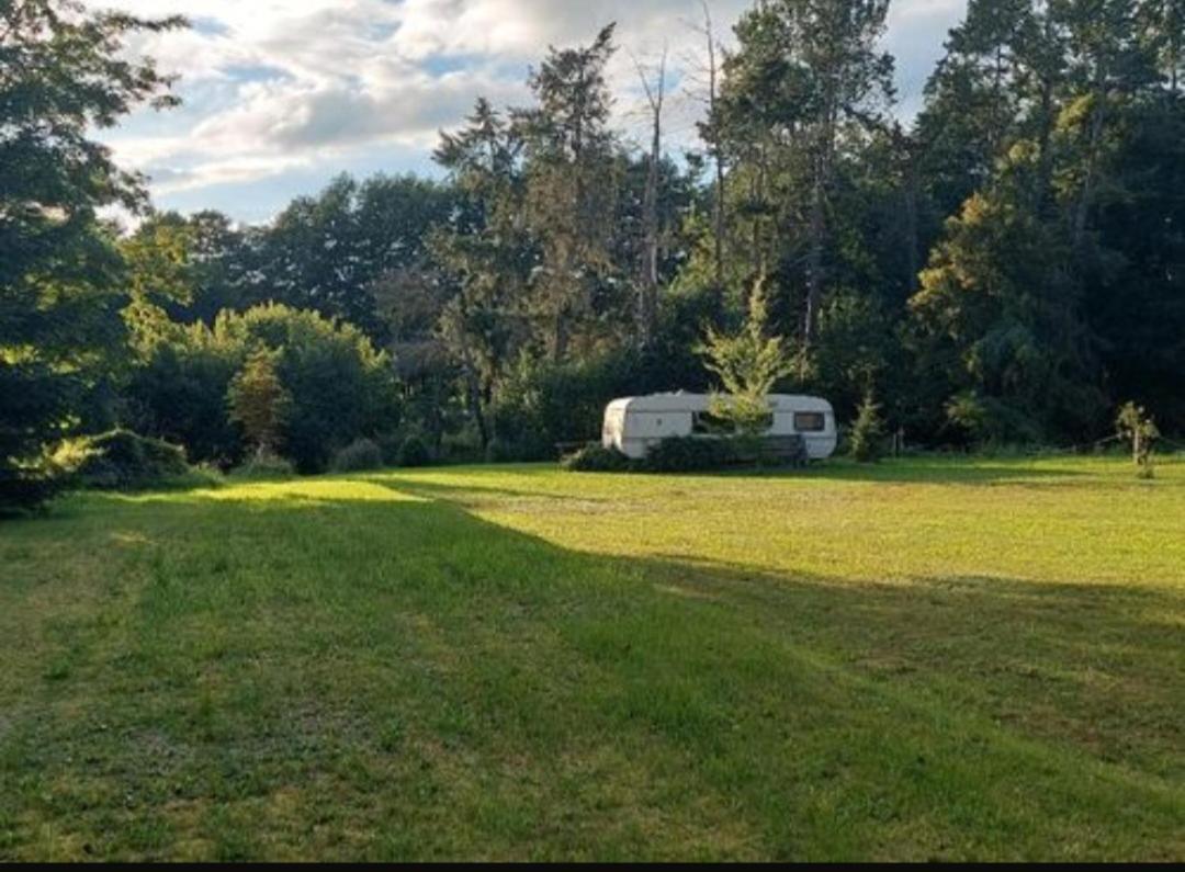Campsite - Wohnmobilstellplatz In Der Mecklenburgischen Seenplatte Strom & Wasser Vor Ort Carpin